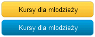 Kursy dla młodzieży ponadgimnazjalnej
